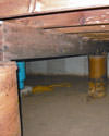 Mold and rot thriving in a dirt floor crawl space in Jackson