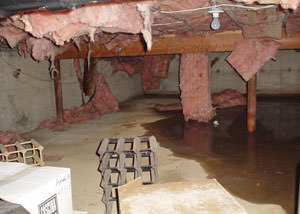 Fiberglass dripping off of the ceilings of a Laurel crawl space