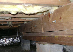 A sagging crawl space with concrete supports and wooden shimming a Florence crawl space