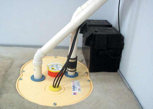 Forest installation of a submersible sump pump system