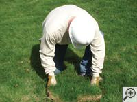 Restoring the landscaping by replacing removed sod on the ground for a Ridgeland home.
