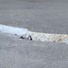 Slab floor cracks showing in a Laurel home