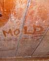 The word mold written with a finger on a moldy wood wall in Hattiesburg