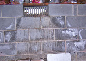 Open crawl space vents allowing in humidity and water in Monroe