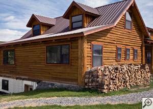 Termite-ridden firewood stacked alongside a home in Madison