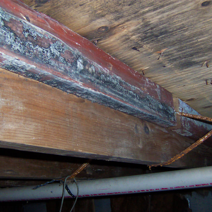 Mold Damage Repair Wood Repair Replacement Near Brandon