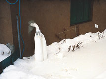 IceGuard® Installed Baton Rouge